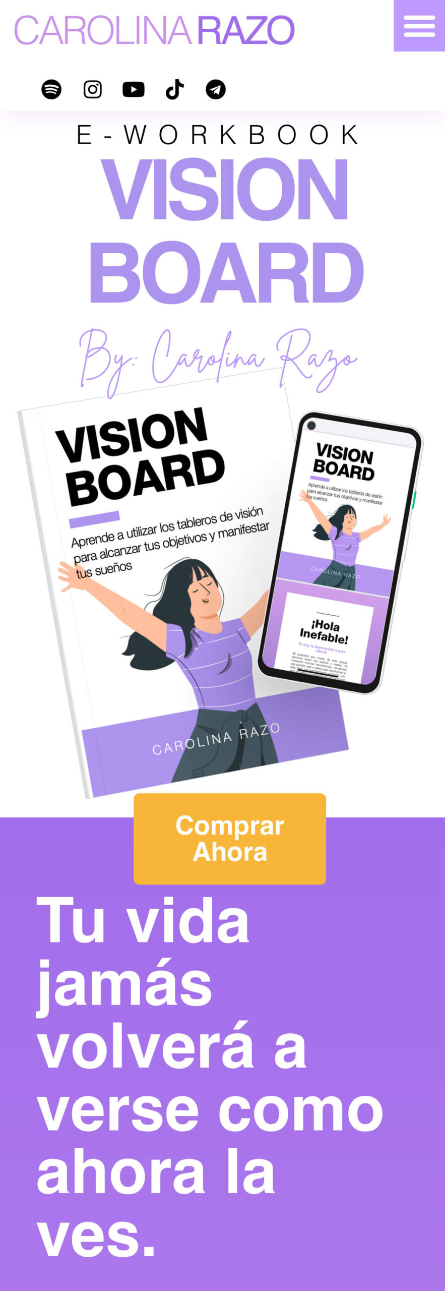 The Vision Board workbook.